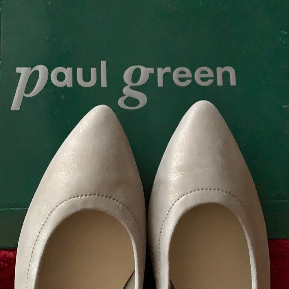 Suede Pointed Toe Pump. Low heel. US 7.5 Never worn.